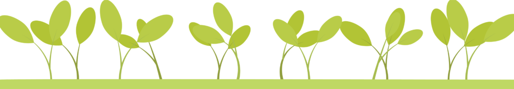 A line of plant sprouts pointing their leaves in various directions